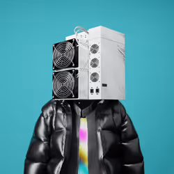 malebotz_153