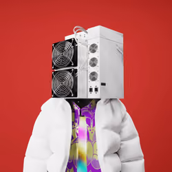 malebotz_101