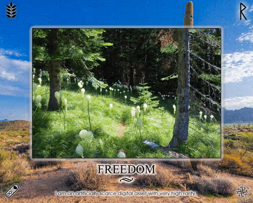 Affirmational Posters