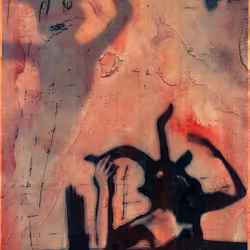 26