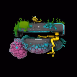 Mutant Hound AI Collar #3898