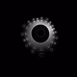 59078877236103567524629197803057434786830520484010594933311129023697828491568