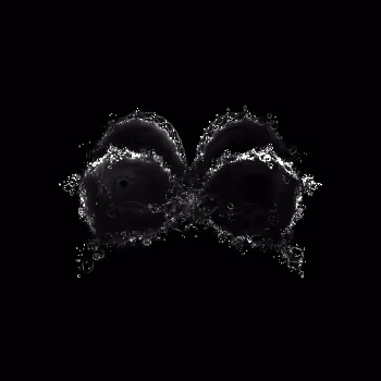 27786444343063970570457587201857778009394005007704676679850050873995101521600