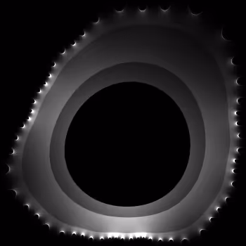 Item #254967054701566284319858691186822704140 Media