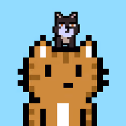 Meowrunnners NFT #1136