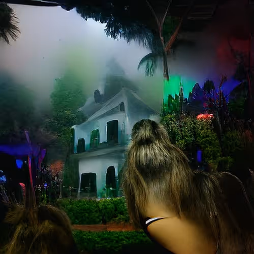 Item #28400120001 Media