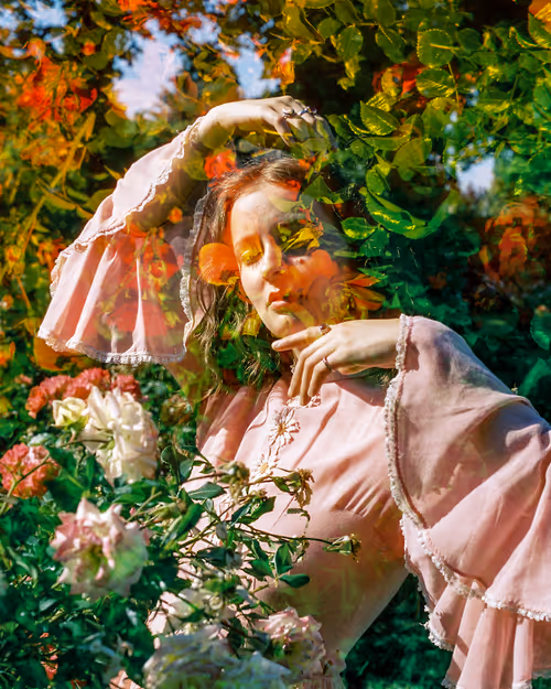 Item #28400250001 Media