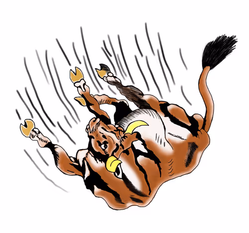 Item #28400400001 Media