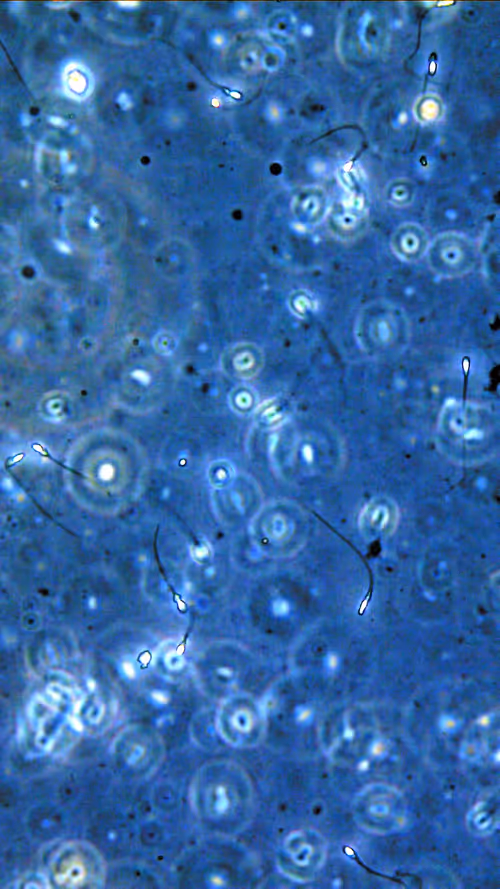 Item #28400230001 Media