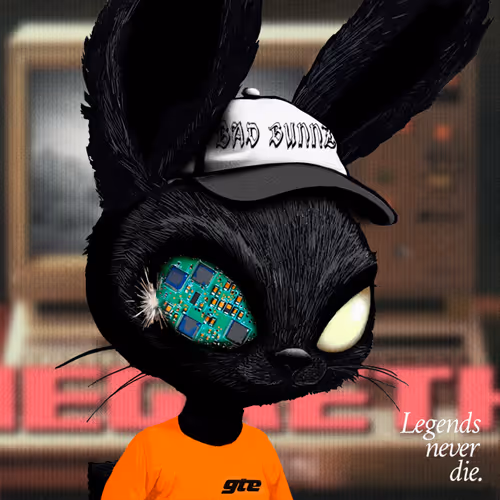 Bad Bunnz 1234