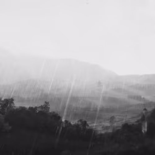 Arcadia Inc: IPO by Cezar Mocan