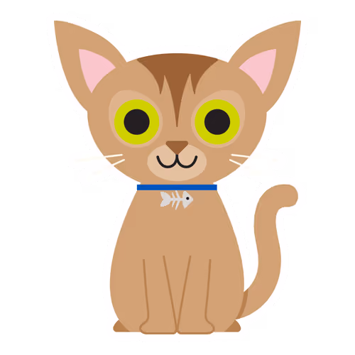 Abyssinian