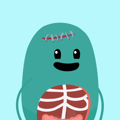 BEAN #4989