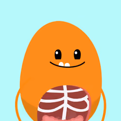 BEAN #9521