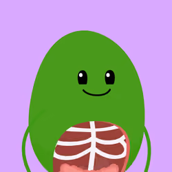 BEAN #6505