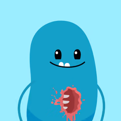 BEAN #7121
