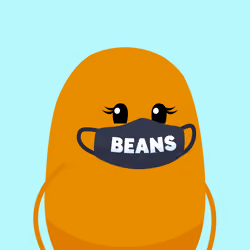 BEAN #2304