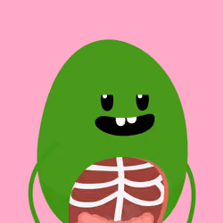 BEAN #3465