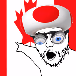 242