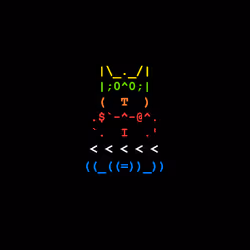 74