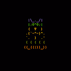 646