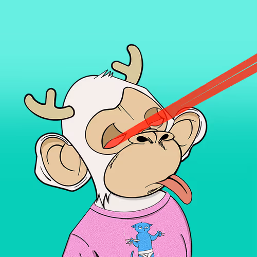 The Shimps #1430
