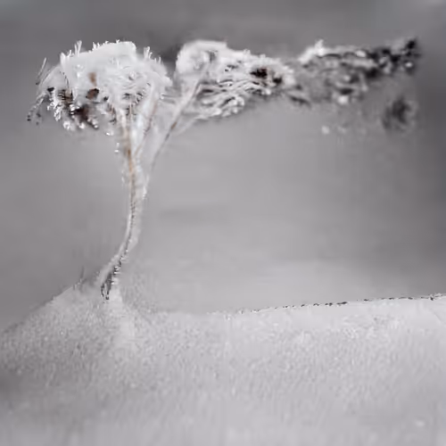 The Journey by Logik