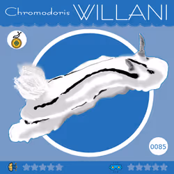 85