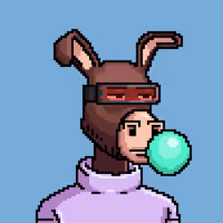 Crypto Donkey #165