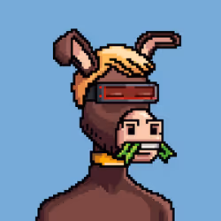 Crypto Donkey #97