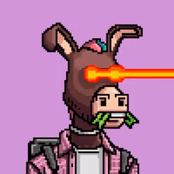 Crypto Donkey #95