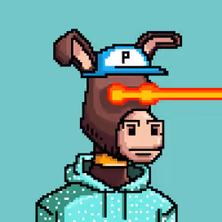 Crypto Donkey #258