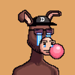 Crypto Donkey #48