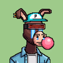 Crypto Donkey #43
