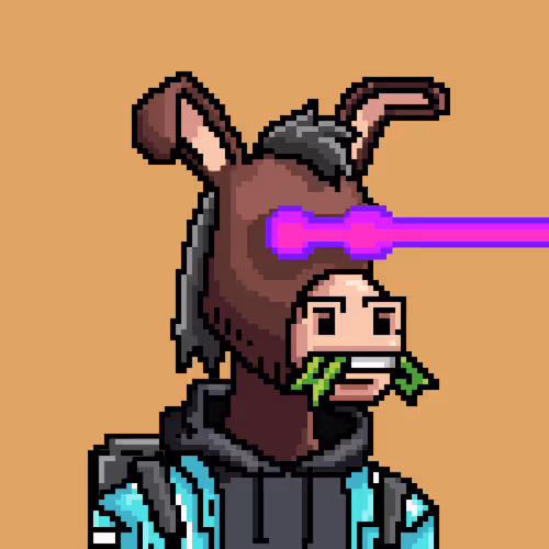 Crypto Donkey 1