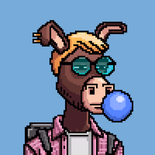 Crypto Donkey 1