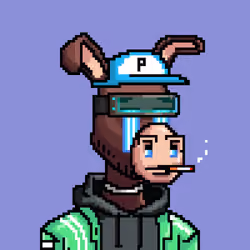 Crypto Donkey #98