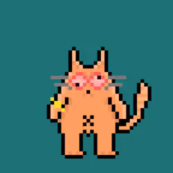 Chonky Pet #154