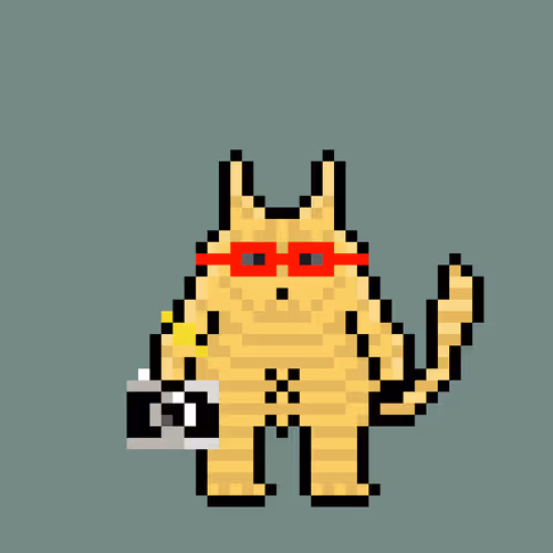 Chonkypets