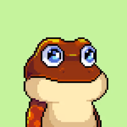 ETH Frogs #262