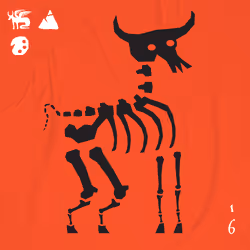 19