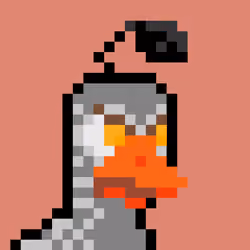 Bit Bird Club #1113