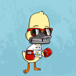 Duck #585
