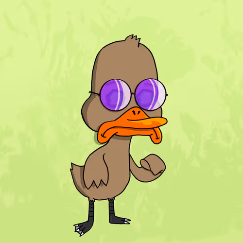 Duck #120