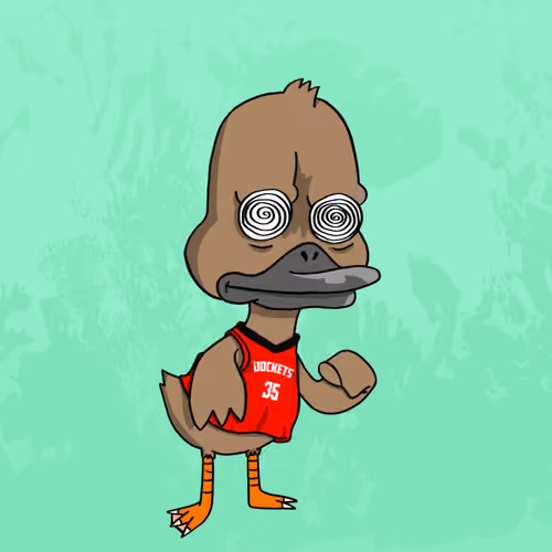 Duck #538