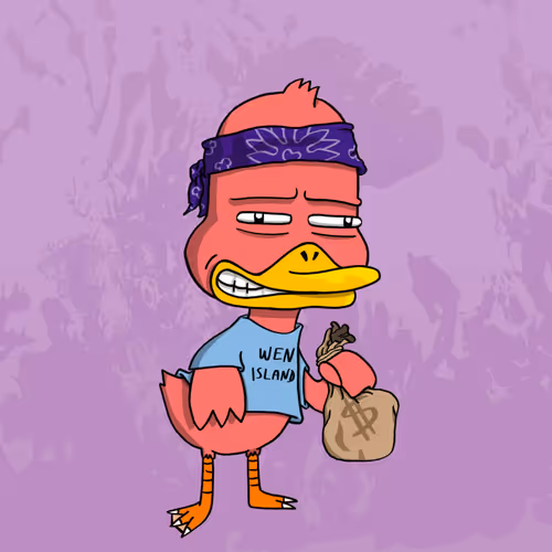 Duck #797