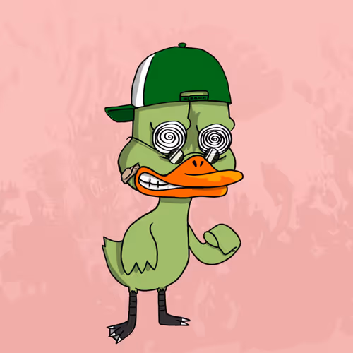 Duck #617