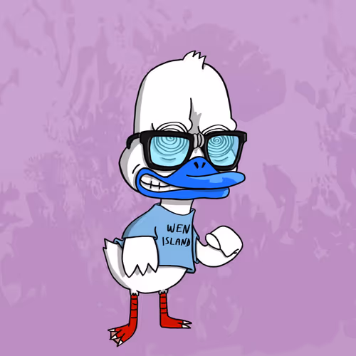Duck #553