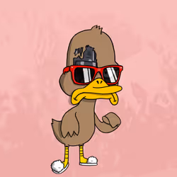 1157