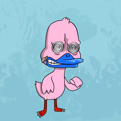 Duck #361